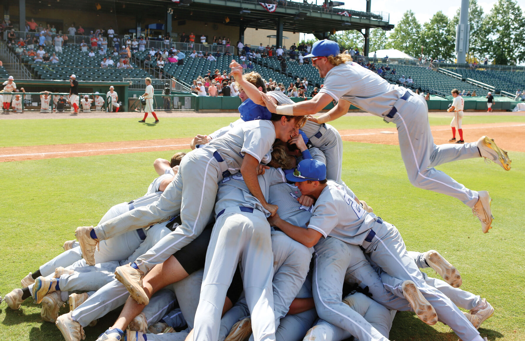 AHS dogpile
